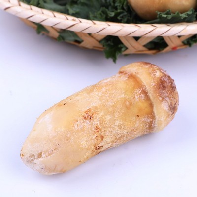 云南特产山珍食用菌 人工松茸 速冻冰鲜松茸 供应野生菌类图2