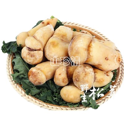 云南特产山珍食用菌 人工松茸 速冻冰鲜松茸 供应野生菌类图3