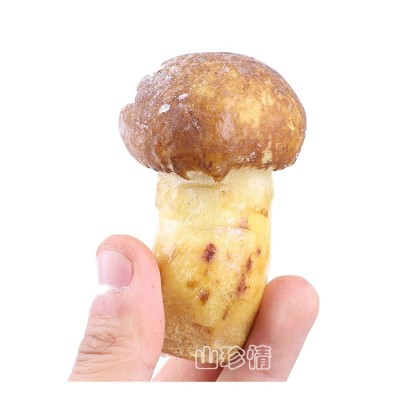 白葱牛肝菌云南野生菌山珍牛肝菌干牛肝菌菌片现货食用菌菌菇直销图5