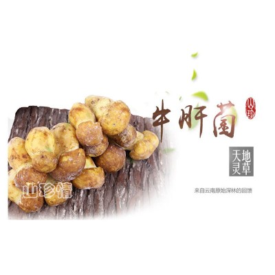 白葱牛肝菌云南野生菌山珍牛肝菌干牛肝菌菌片现货食用菌菌菇直销图4