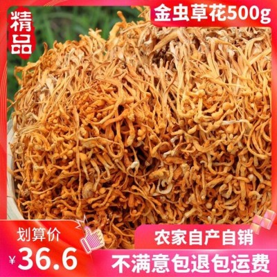 虫草花干货500g金虫草蛹虫草孢子头煲粥煲汤无硫滋补食材一斤