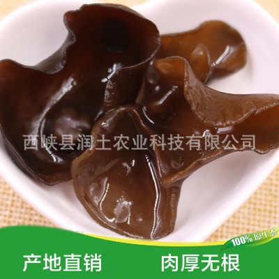东北特产黑木耳散装500g 厂家直销肉厚无根小碗耳 黑木耳批发图4
