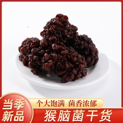 大个海参菇黑松菌玛咖菌茸菌玛瑙菌 猴脑菇核桃菌食用菌农产品