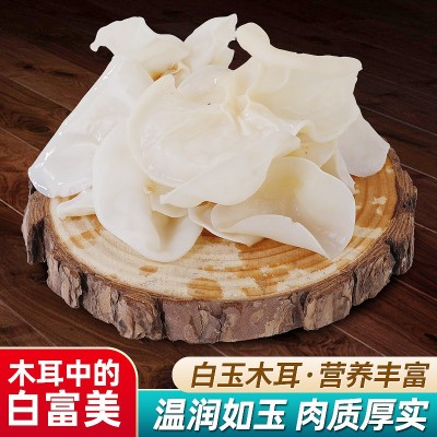 白玉木耳干货酒店小碗菜木耳干净无根肉质厚实食用玉木耳菌批发