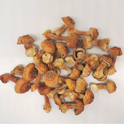 厂家直供剪脚无泥无熏硫姬松茸食用菌干货巴西蘑菇煲汤材料图3