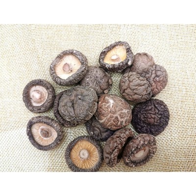工厂批发精选食用菌肉厚无熏硫无农药残留小香菇干货图3