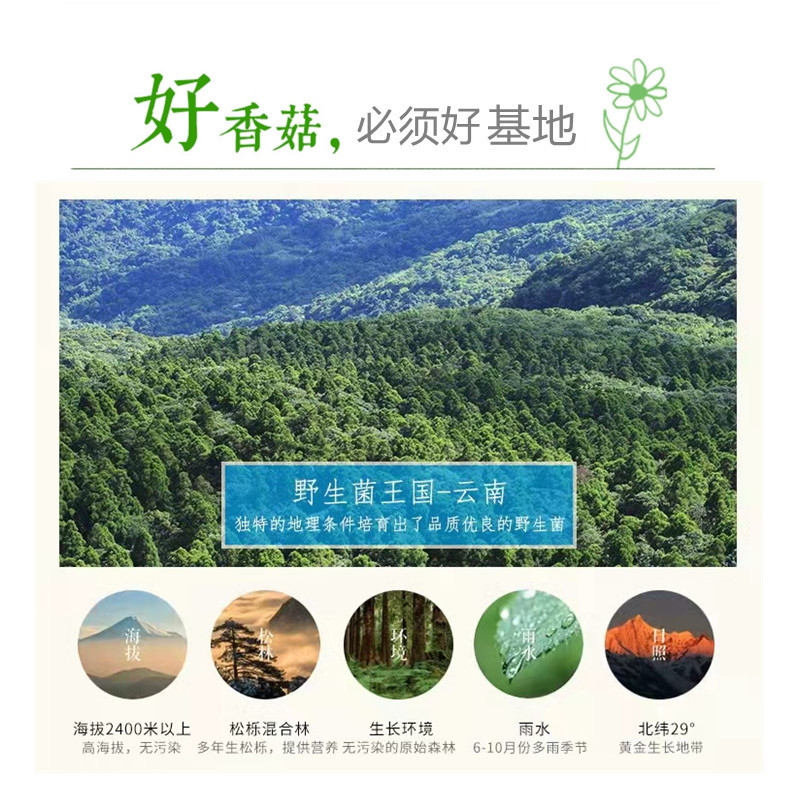详情基地 8