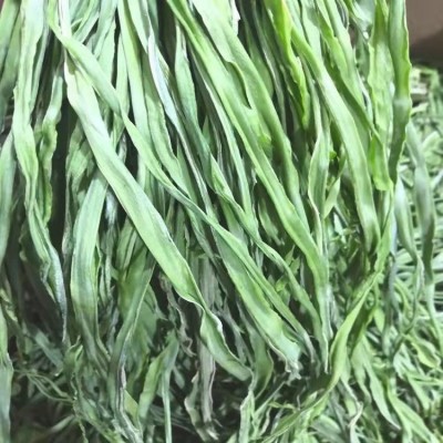 工厂批发云南特产干货贡菜苔干苔菜风干无叶响菜脱水蔬菜火锅店图3
