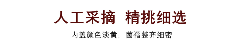 人工采摘