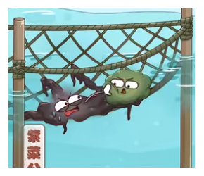 绿油油的浒苔是怎么形成的？#浒苔