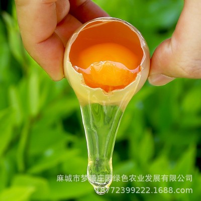 批发长期大量供应新鲜鸡蛋大别山农村鲜鸡蛋红蛋粉蛋360枚/箱图2