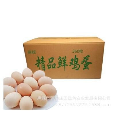 批发长期大量供应新鲜鸡蛋大别山农村鲜鸡蛋红蛋粉蛋360枚/箱图5