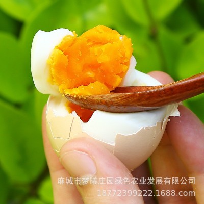 批发长期大量供应新鲜鸡蛋大别山农村鲜鸡蛋红蛋粉蛋360枚/箱图4