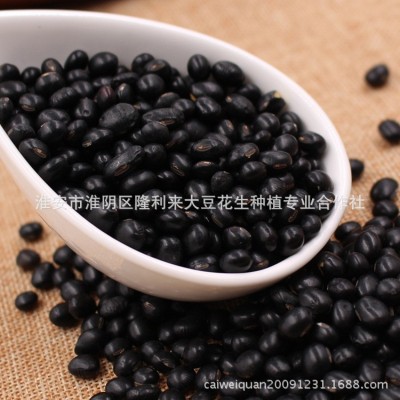 供应黑豆农家自种五谷杂粮打豆浆低温烘焙青芯大黑豆批发图3