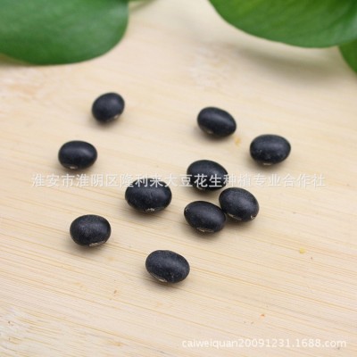 供应黑豆农家自种五谷杂粮打豆浆低温烘焙青芯大黑豆批发图2