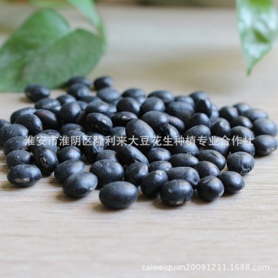 供应黑豆农家自种五谷杂粮打豆浆低温烘焙青芯大黑豆批发图4