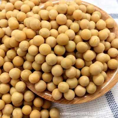 农家自产大黄豆 大黄豆打豆浆原料 农家食用黄豆图5