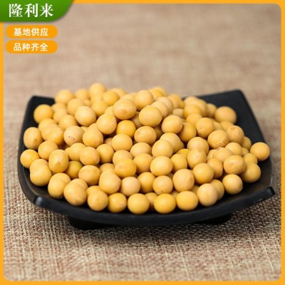 苏北淮安销售 大豆农家食用黄豆 打豆浆五谷杂粮图2