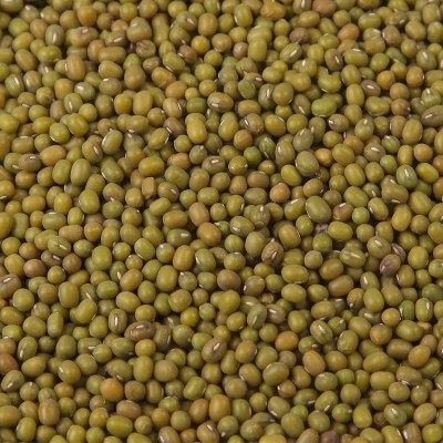 长年供应绿豆适合做做绿豆汤凉粉豆沙用图4