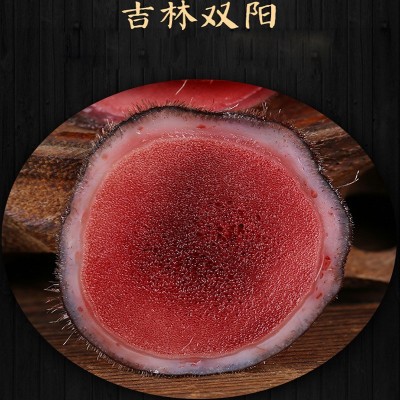 东北特产鲜鹿茸片50g袋装泡酒煲汤送礼 鲜鹿茸切片茸之麒厂家批发图4