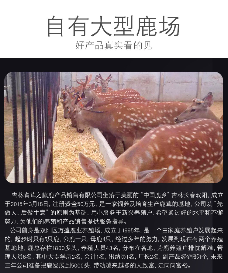 鹿鞭膏_08.jpg