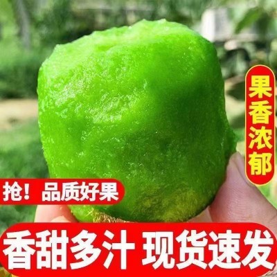 猕猴桃绿心奇异果新鲜现摘水果孕妇水果当季弥猴桃整箱包邮批发价图4