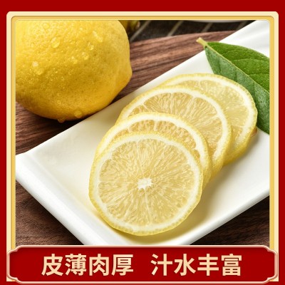 一级精选四川安岳柠檬鲜果批发 当季新鲜水果 产地直发黄柠檬代发图5