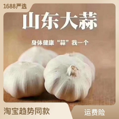 2023紫皮大蒜6厘米蒜王1斤山东大蒜源头工厂批发各平台代发优选