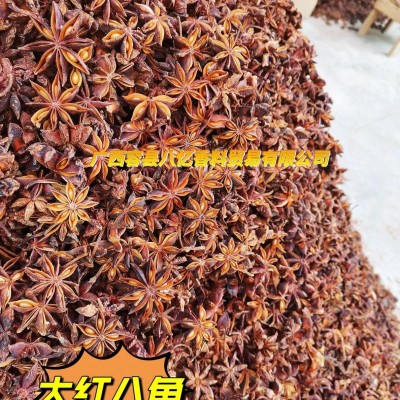 批发广西八角全干大红八角过筛去籽大料大茴香另卖干枝八角桂皮图4