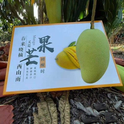 果园产地直发海南三亚金煌芒水仙芒送礼应季水果礼盒装代发顺丰图5