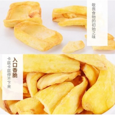 越南进口菠萝蜜干 220g菠萝蜜干干休闲零食果蔬脆 散装菠萝蜜干图3