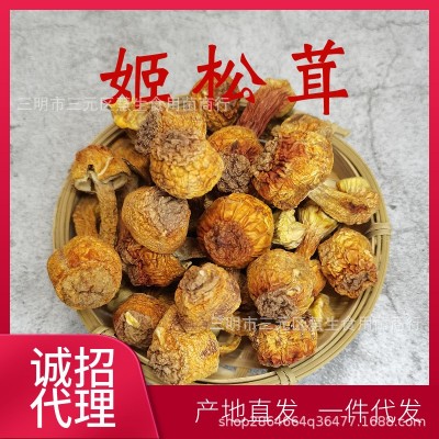 新货云南姬松茸干货新鲜巴西菇土特产食用菌香菇批发