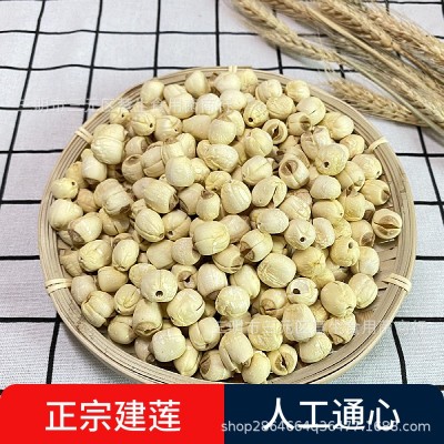 新货福建建宁通芯莲子红花莲磨皮批发450g农家白莲子干货图2