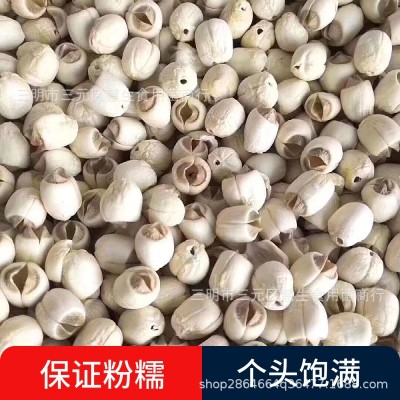 新货福建建宁通芯莲子红花莲磨皮批发450g农家白莲子干货图3