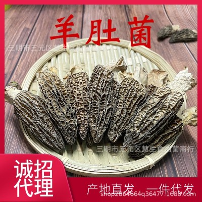 新货羊肚菌新鲜干货云南野生土特产特级野生菌短柄250g图2