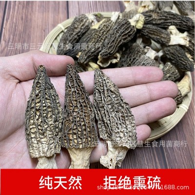 新货羊肚菌新鲜干货云南野生土特产特级野生菌短柄250g图3