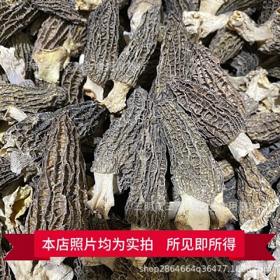 新货羊肚菌新鲜干货云南野生土特产特级野生菌短柄250g图4