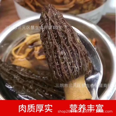 新货羊肚菌新鲜干货云南野生土特产特级野生菌短柄250g图5