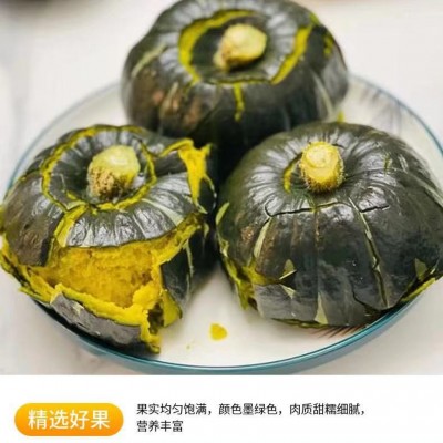 原产地直供贝贝南瓜粉面香甜孕妇宝宝可食板栗味贝贝南瓜礼盒批发图4