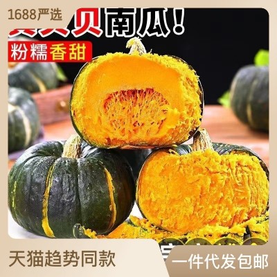 原产地直供贝贝南瓜粉面香甜孕妇宝宝可食板栗味贝贝南瓜礼盒批发