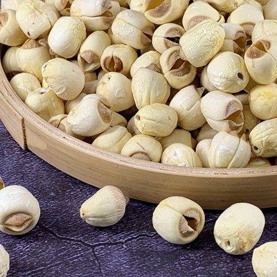 厂家直供 江西广昌磨皮白莲子干货批发新鲜现货特 级大颗去芯莲子图2