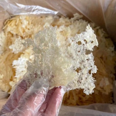 本草银耳瓶装散装即食免洗免泡破壁银耳厂家销售批发代发草本银耳图4