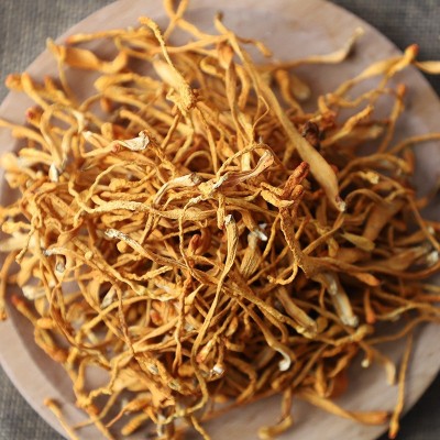 古田新货虫草花孢子头250g/500g袋装散装 厂家直供一件代发图3