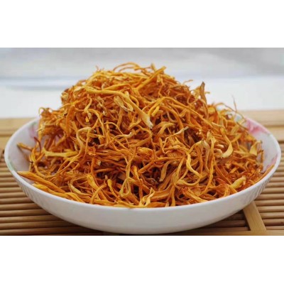 古田新货虫草花孢子头250g/500g袋装散装 厂家直供一件代发图4