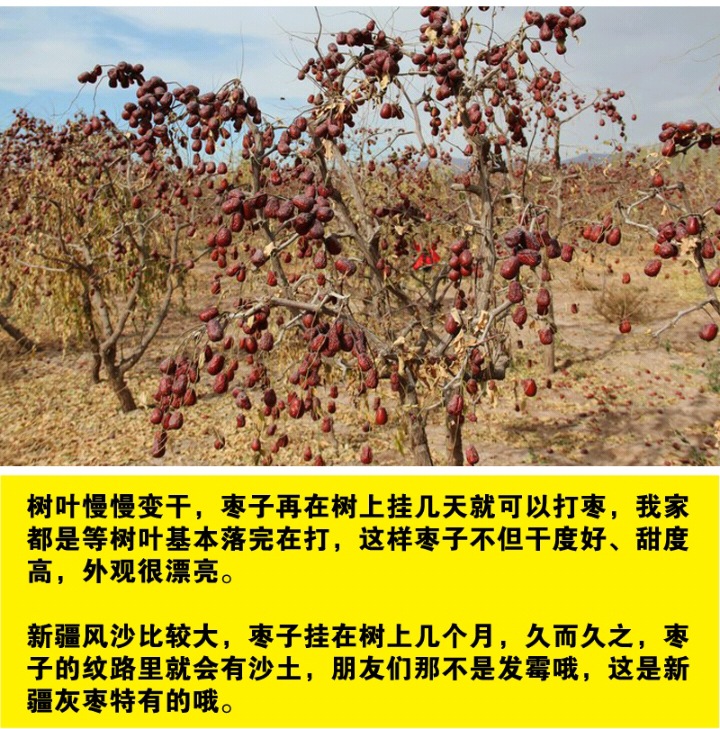 QQ图片20200521061256
