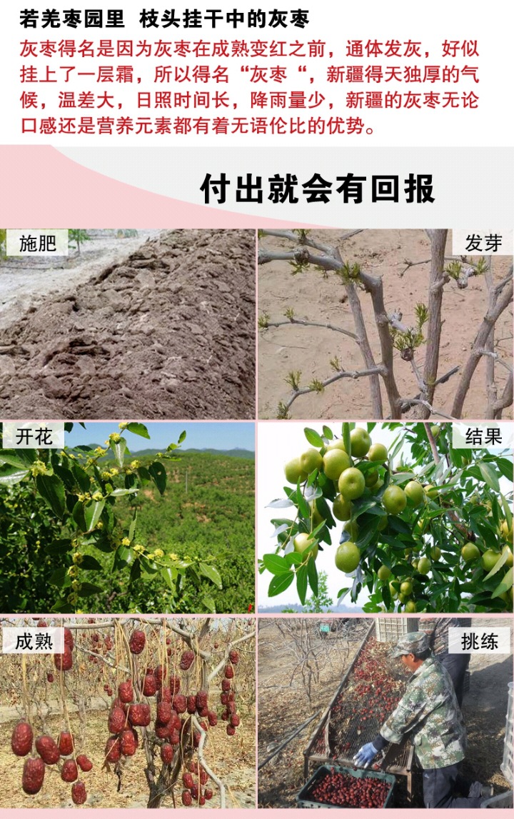 QQ图片20200521061332