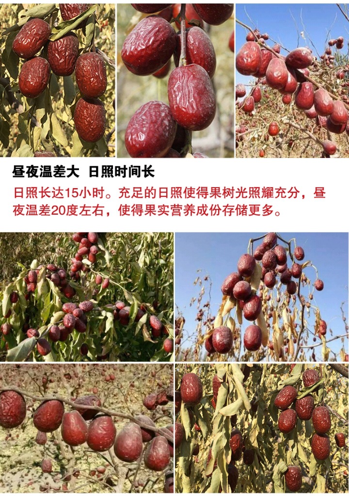QQ图片20200521061307