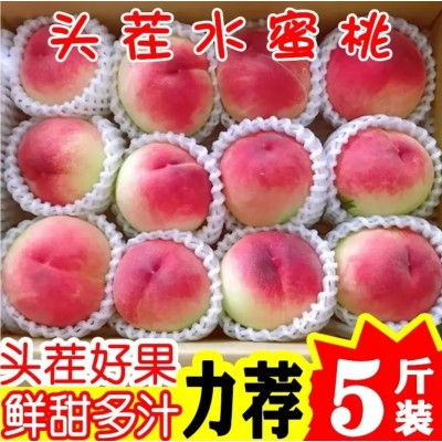 现摘现发 2023水蜜桃桃控福音脆甜爽口5斤包邮