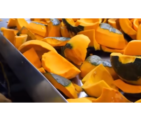 韩国大型南瓜食品加工厂，环境干净的不像话，南瓜还能这样吃？