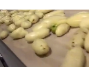 实拍食品工厂制作薯条的全过程，看的都饿了！